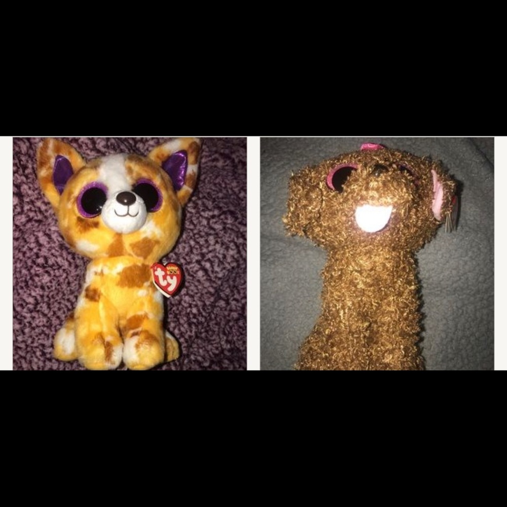 Maddie/Pablo ~ dog beanie boos🐶